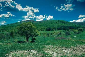 Фото номера Дом с 2 спальнями Дома для отпуска AraLer Vacation House г. Yernjatapʼ 27
